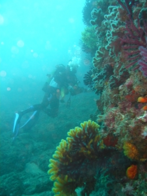  adelante para la aventura 